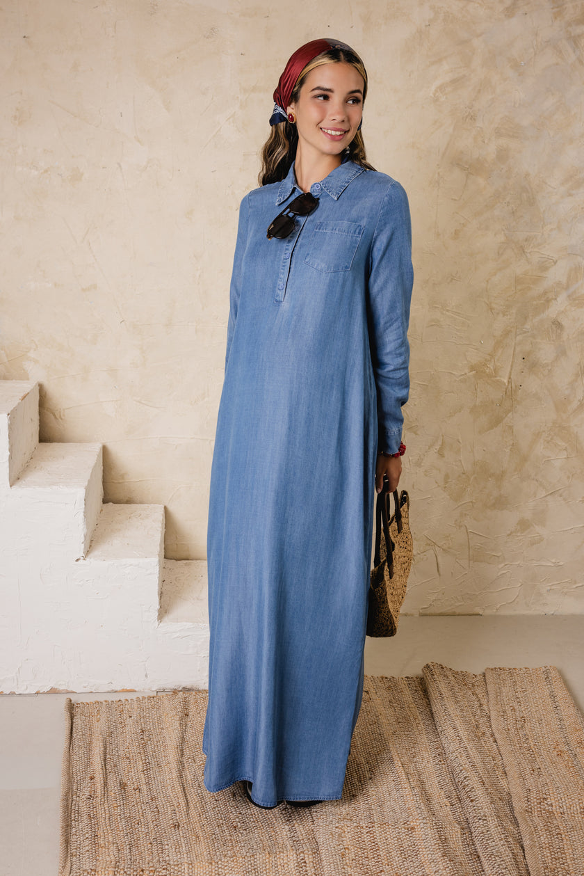 Blue Stem Denim Dress