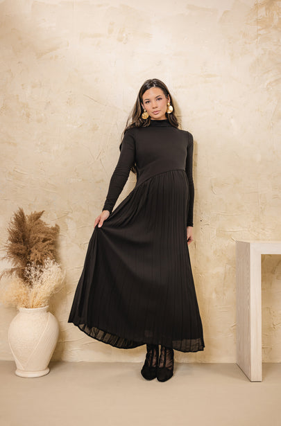 Swallow Accordian Maxi Dress