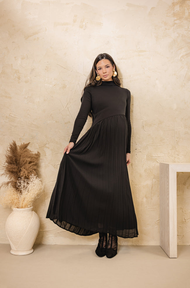 Swallow Accordian Maxi Dress