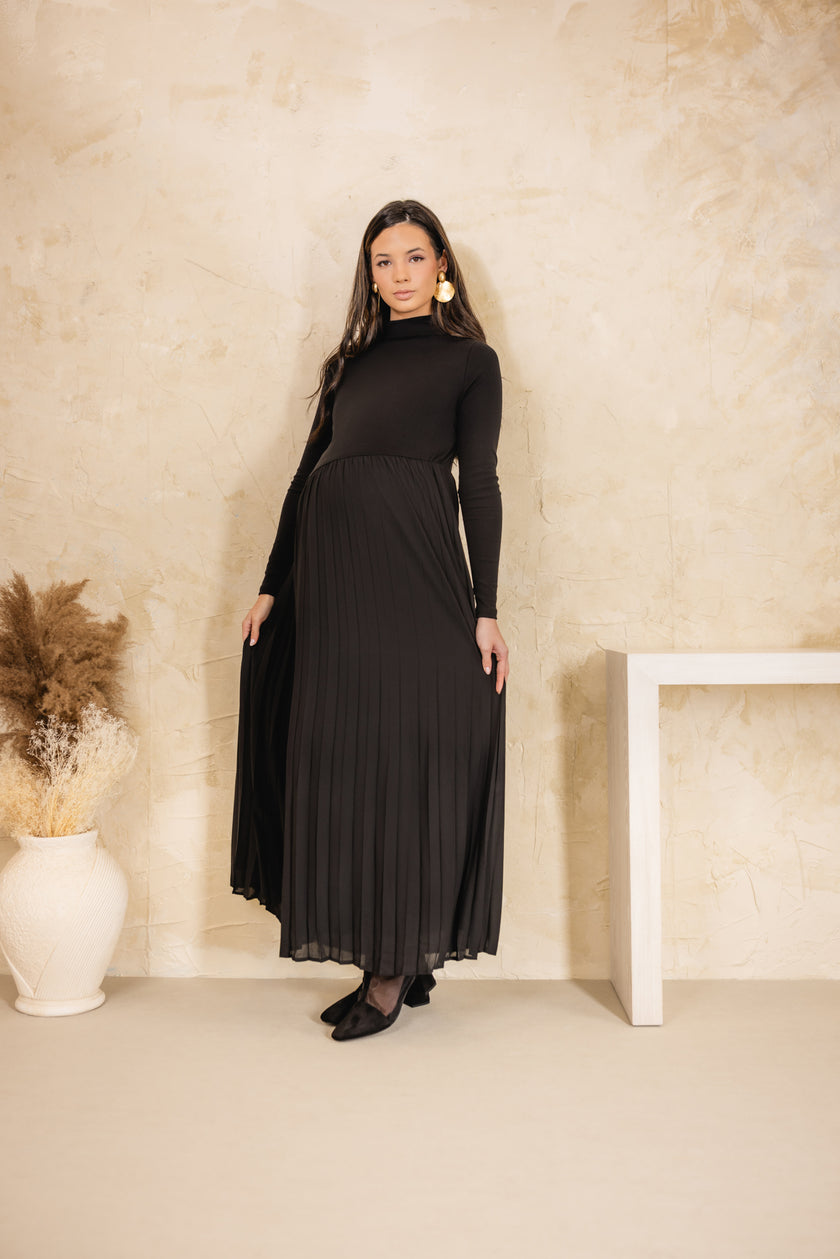 Swallow Accordian Maxi Dress