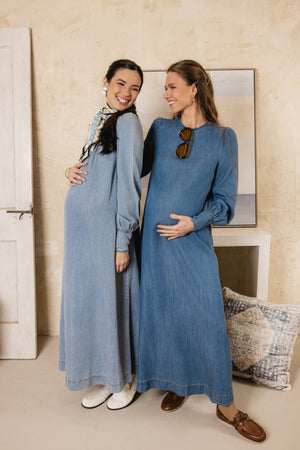 Jay Denim Dress Dark Denim