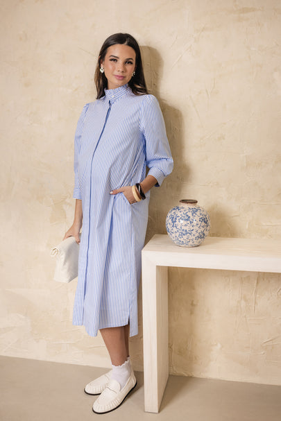 Sweet Fern Stripe Dress Blue